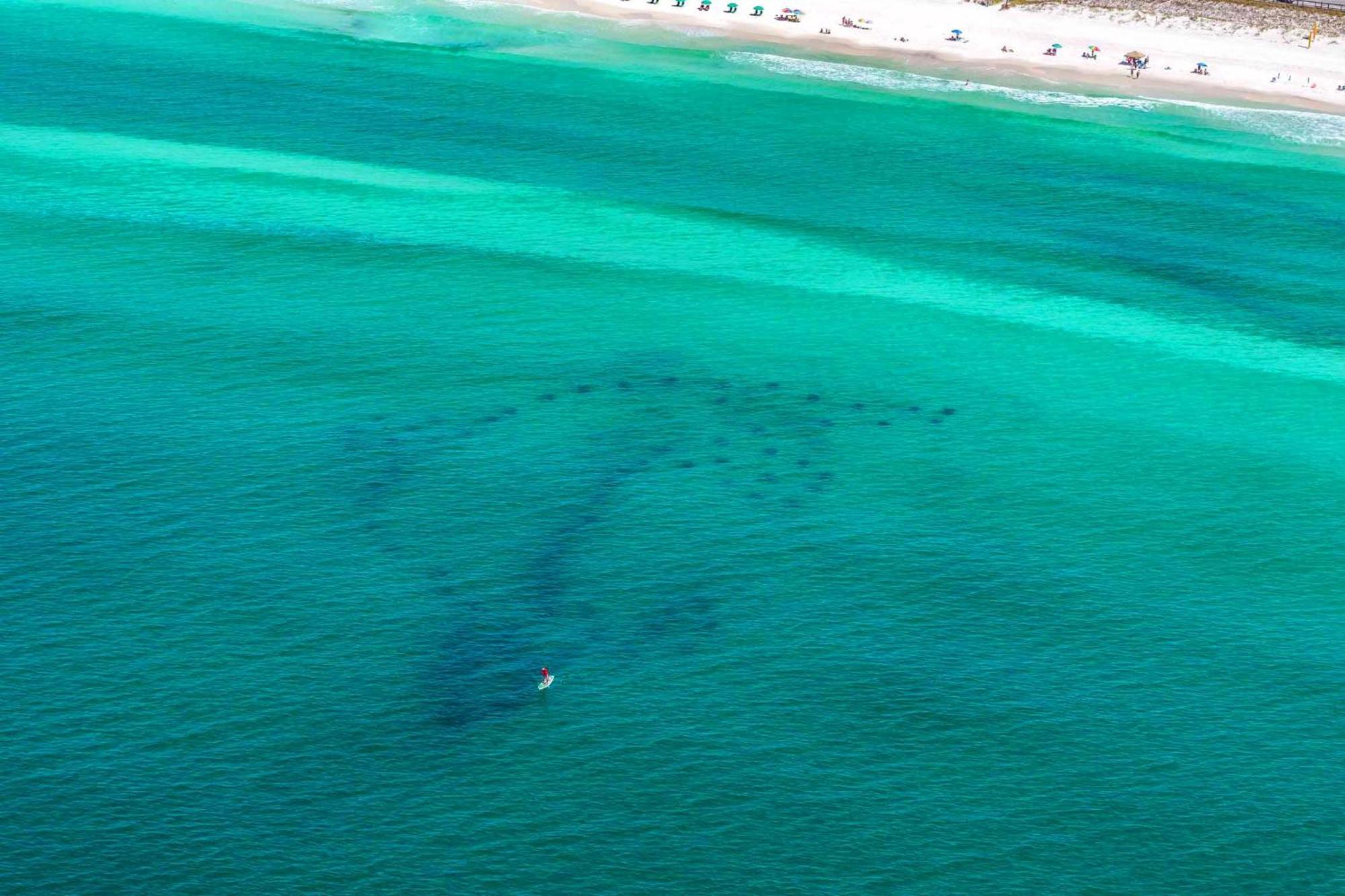 Beach Resort 316 Destin Luaran gambar
